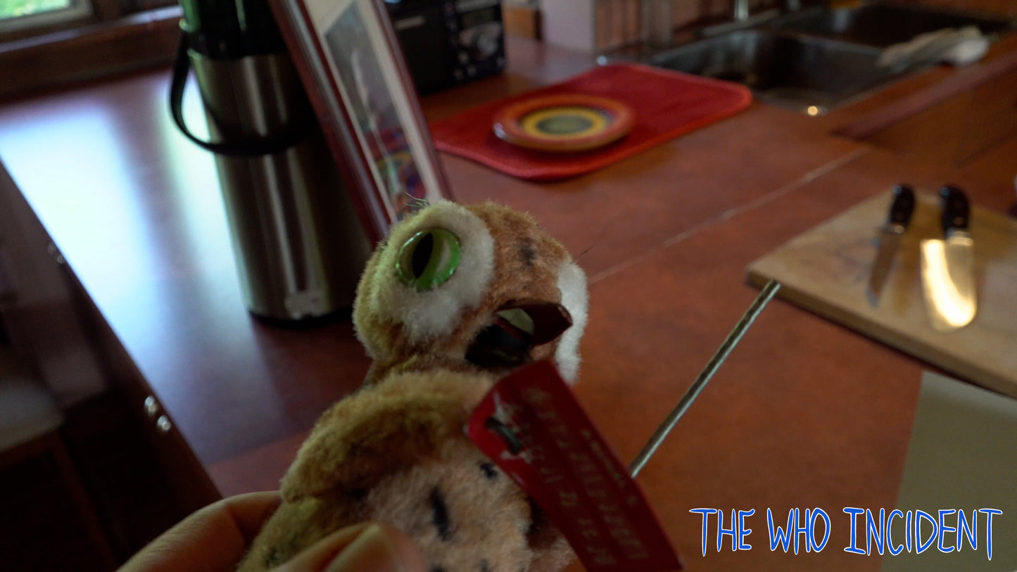 The Who Incident DVD